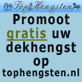Tophengsten.nl - Daar waar fokkers en hengstenhouders samenkomen
