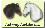 Antwerp Andalusians